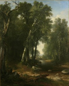 Ormanlık Çayı, 1859